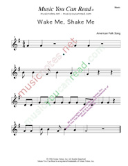 "Wake Me, Shake Me" Music Format
