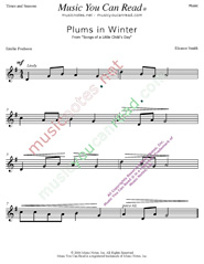 "Plums in Winter" Music Format