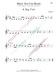 "A Big Fish" Music Format