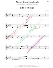 "Little Things" Music Format