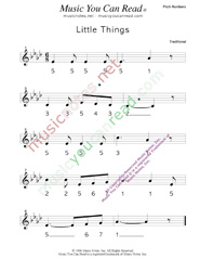 Click to Enlarge: "Little Things" Pitch Number Format