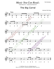 Click to Enlarge: "The Big Coral," Pitch Number Format