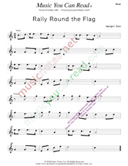 "Rally Round the Flag," Music Format