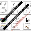 Flash Cards Complete - Image 4