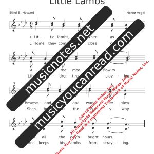 Little Lambs