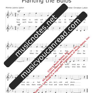 Planting the Bulbs