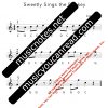 Sweetly Sings the Donkey - Image 7