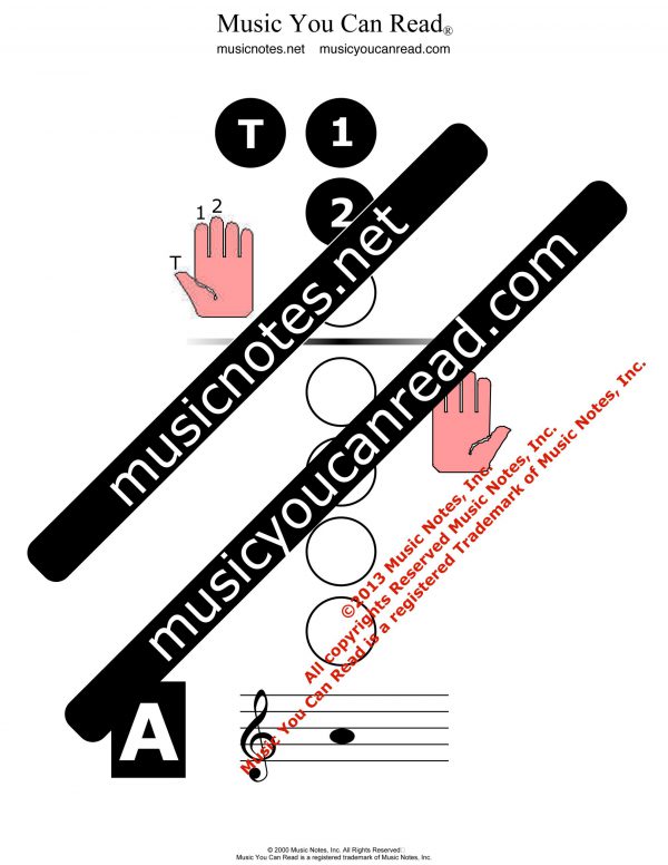 Recorder Chart - A