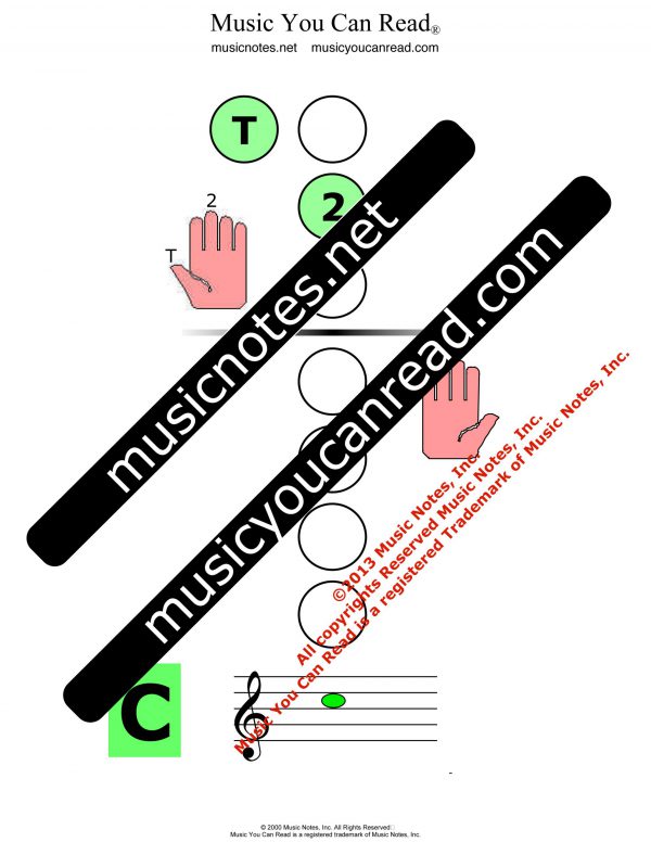 Recorder Chart - C8