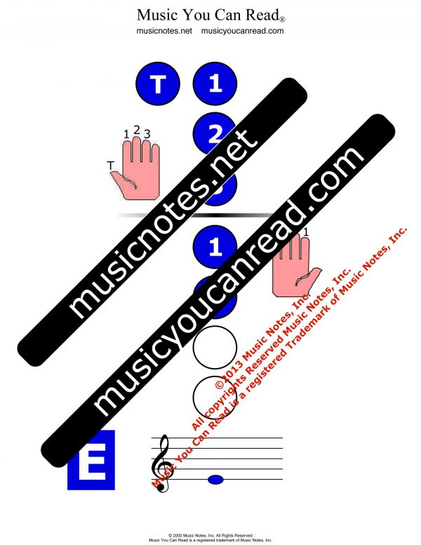 Recorder Chart - E